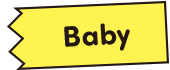 Baby