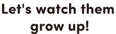 Let's watch them grow up!