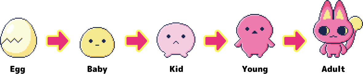 Egg → Baby → Kid → Young → Adult