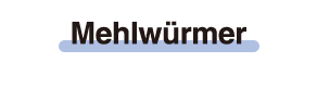 Mehlwürmer