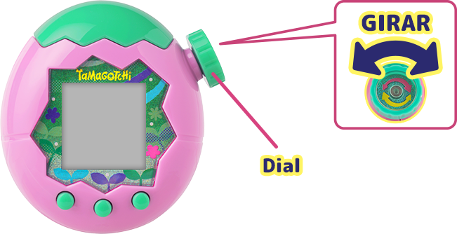 Imagen de vista acercada con dial