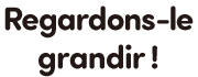 Regardons-le grandir !