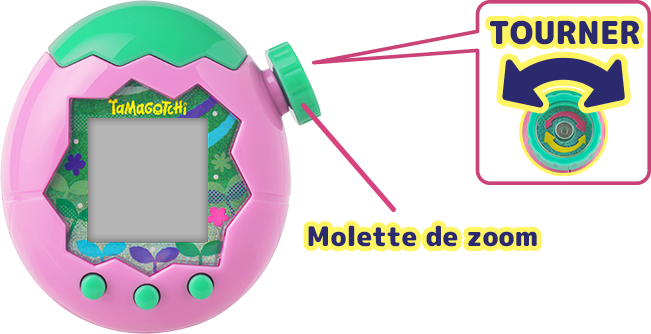 Image montrant comment zoomer avec la molette de zoom