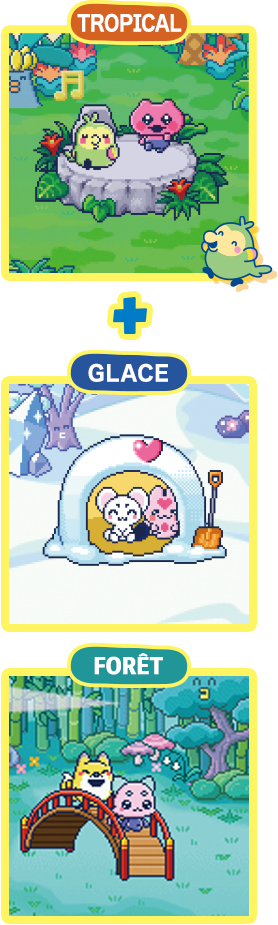 TROPICAL FORÊT+GLACE