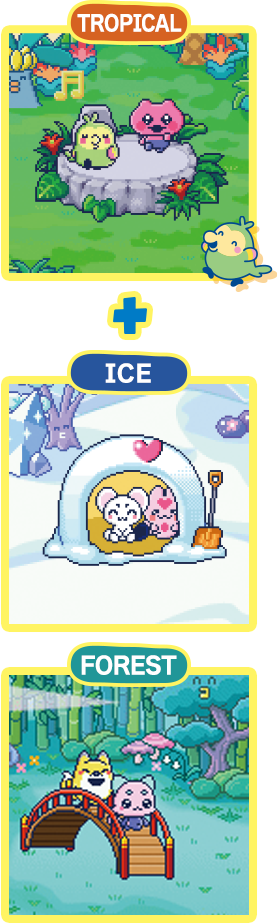 TROPICAL FOREST+ICE