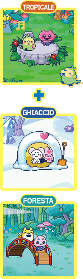 TROPICALE FORESTA+GHIACCIO