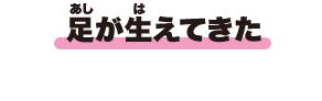 足が生えてきた