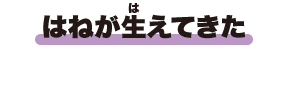 はねが生えてきた