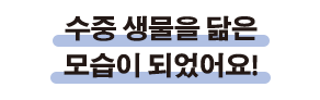 수중 생물을 닮은 모습이 되었어요!