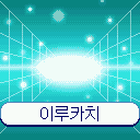 이루카치를 도감에 등록하는 이미지