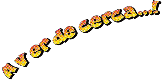 A ver de cerca...