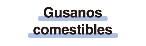 Gusanos comestibles