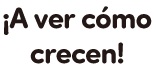 ¡A ver cómo crecen!