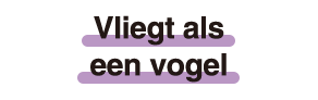 Vliegt als een vogel