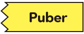 Puber