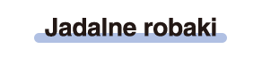 Jadalne robaki