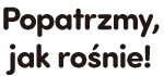 Popatrzmy, jak rośnie!