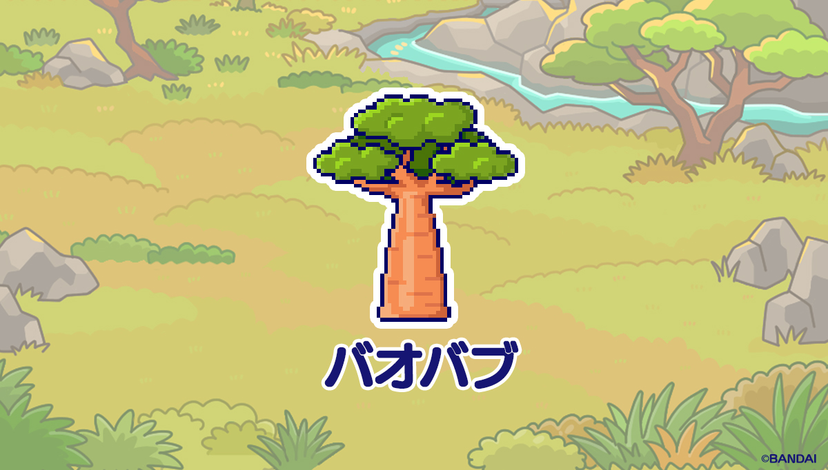 バオバブ