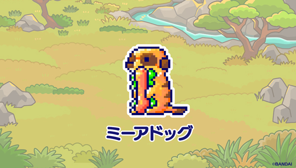 ミーアドッグ