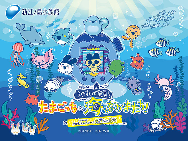 『えのすいで発見!!たまごっちと海のなかまたち!』　コラボ詳細をだいこ～かい！！