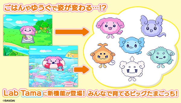 Lab Tama 