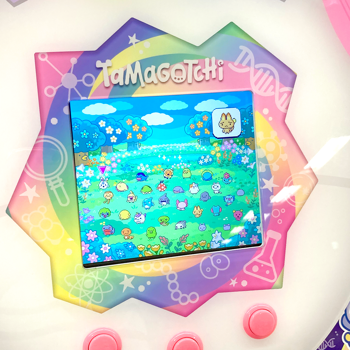 Trovare il Tamagotchi specificato