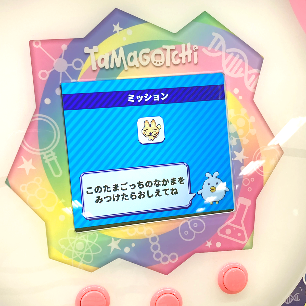 たまたまウォッチングを遊んでいる様子