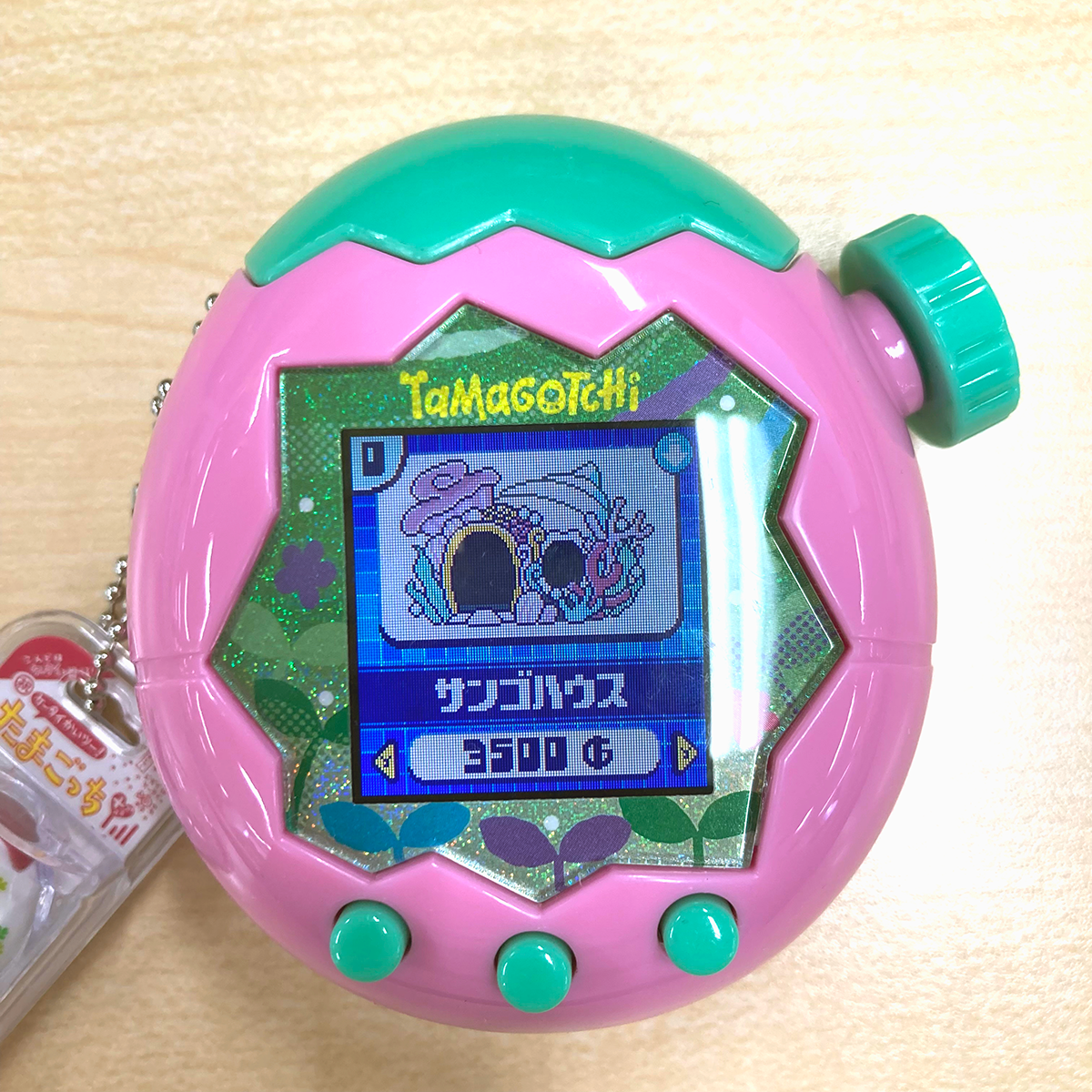 サンゴハウスをアンロックできた様子
