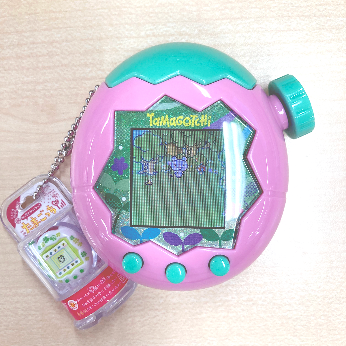 Schermo del Paradiso che mostra Ratchi mentre cresce