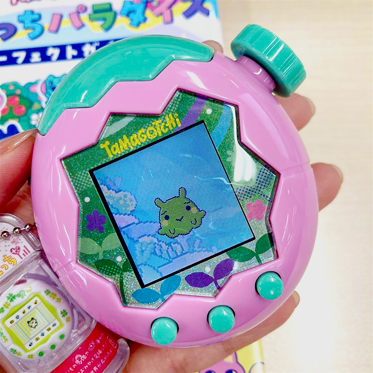 めんだこっちになったよ！