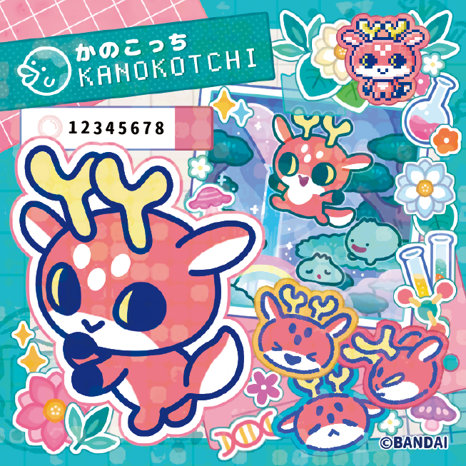かのこっち