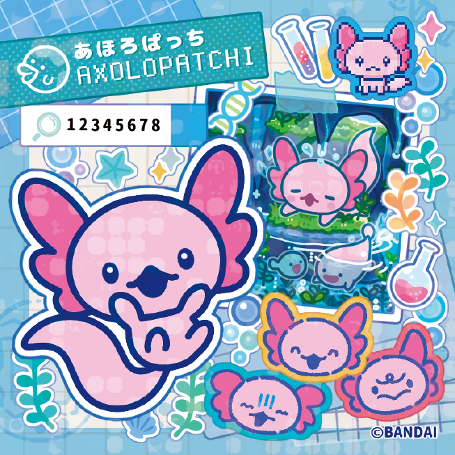 あほろぱっち