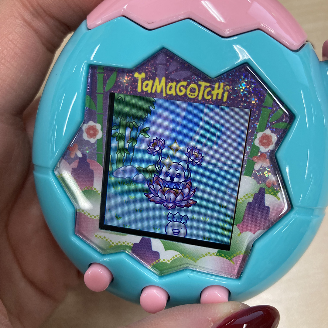 愛おしいれさぱん