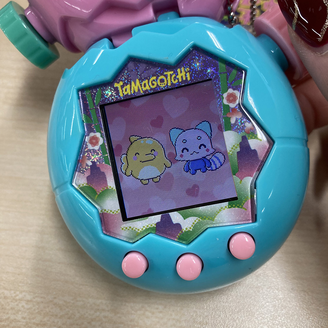 いるかっちとブリードするれさぱん