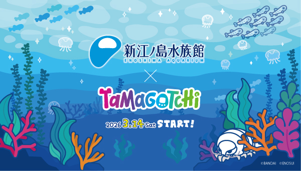 たまごっち×新江ノ島水族館　コラボ開催決定！