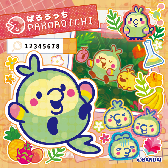 ときぱっち