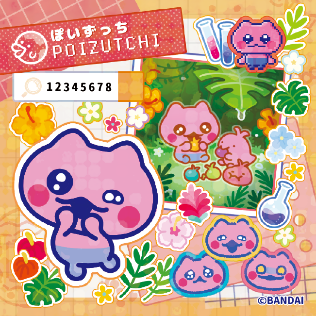 かのこっち