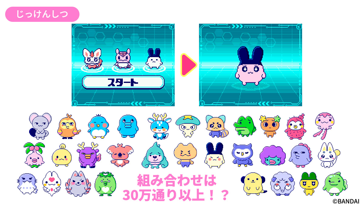 Tamagotchi Paradiseとツーしんしておうちで遊べる、でかたまごっち Tamagotchi Paradiseとツーしんしておうちで遊べる、でかたまごっち