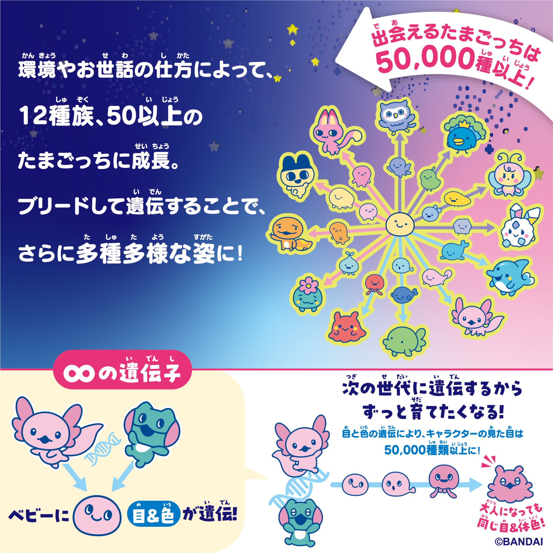 Tamagotchi Paradise - Purple Sky 竹下☆ぱらだいす＆しなこ 