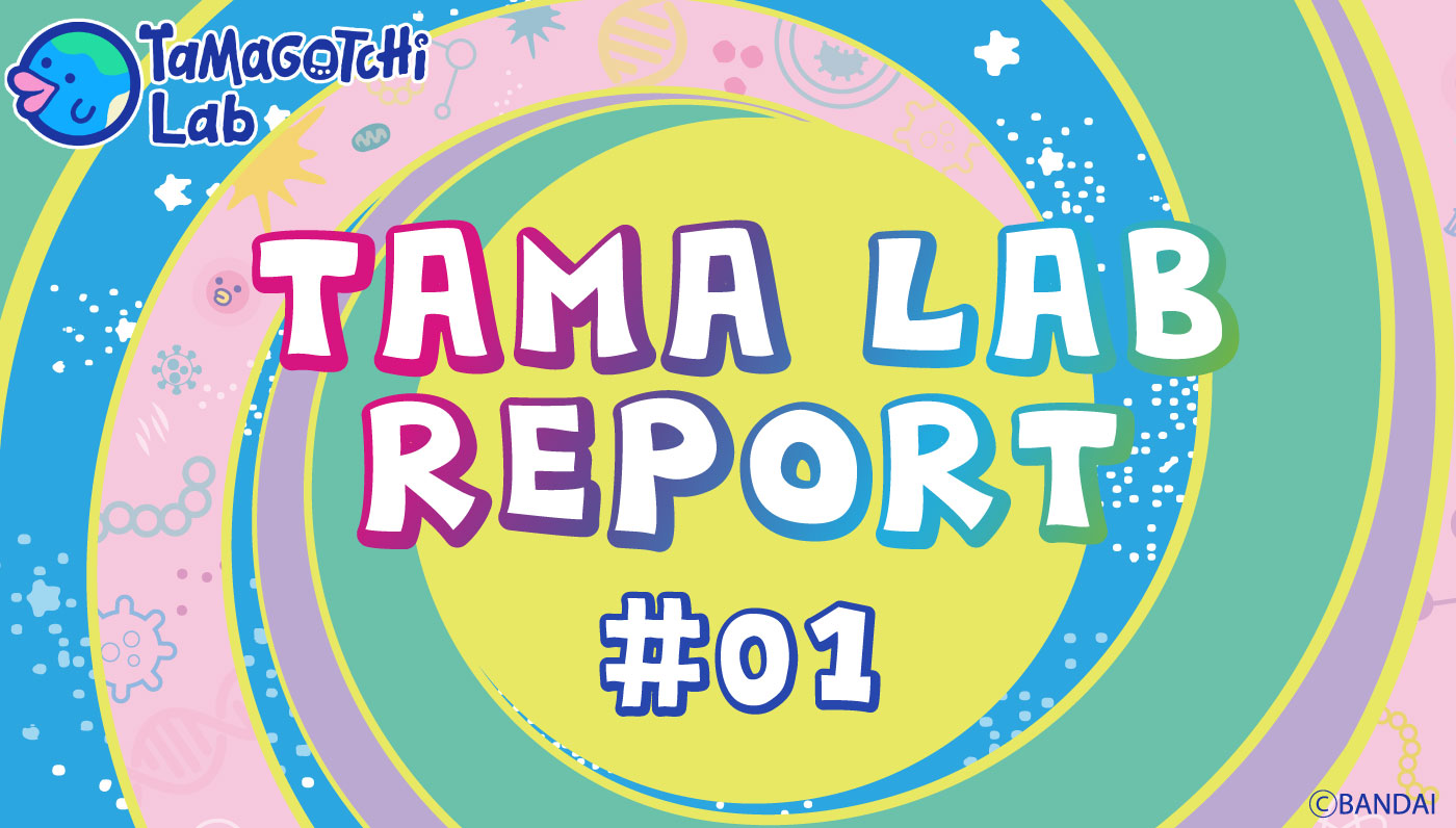 Tama Lab Report #01 - Paradise Research Begins!