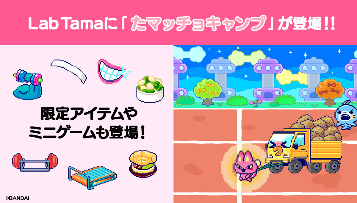 Lab Tama Feature Update: RAISE A BIG TAMA!