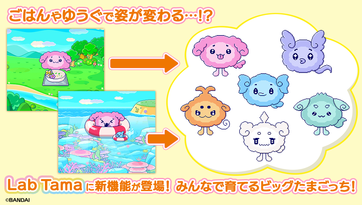 Lab Tama Feature Update: RAISE A BIG TAMA!
